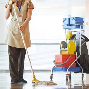 картинка Отжим для уборочных тележек универсальный ACG, синий