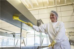 картинка Щетка для мытья с длинной ручкой, 41,5x7,5x7,5 см, жёсткая, синяя Vikan