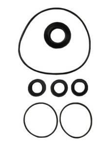 картинка Комплект сальников, уплотнительных колец, для помпы ACG 15.20 1005681 куить
