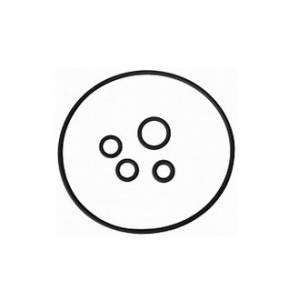 Резиновое уплотнение фланца доз. системы D25RE5/10 J053AF