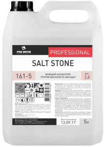 Концентрат моющий против высолов на фасадах SALT STONE, 5 л,PRO-BRITE