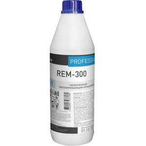 Концентрат низкопенный обезжиривающий Стандарт REM-300, 1 л,PRO-BRITE